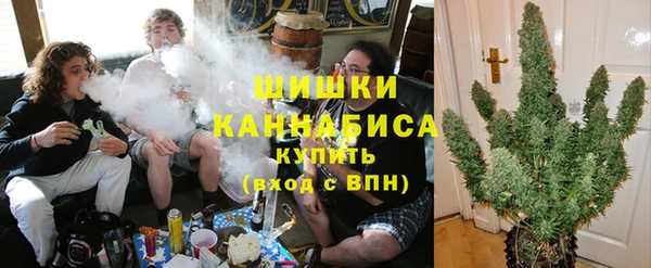 спайс Алексин