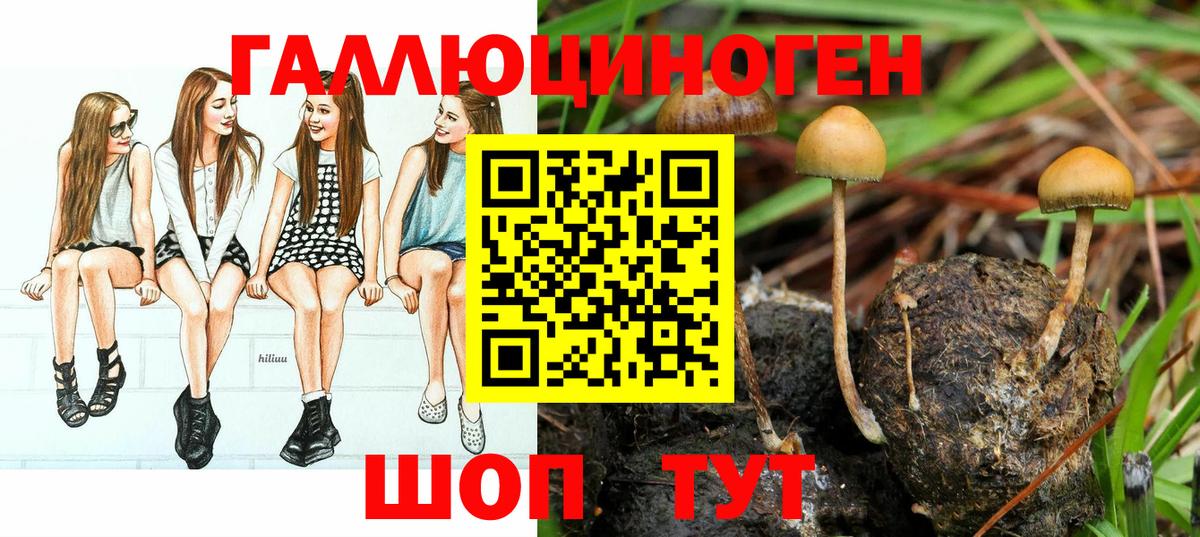 Галлюциногенные грибы GOLDEN TEACHER Котлас