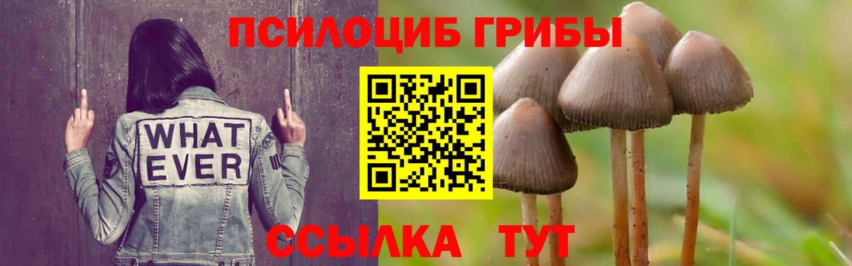 Галлюциногенные грибы GOLDEN TEACHER  Вход с VPN  Котлас  Галлюциногенные грибы Cubensis 